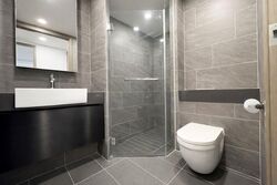 Affinity At Serangoon (D19), Apartment #535309171